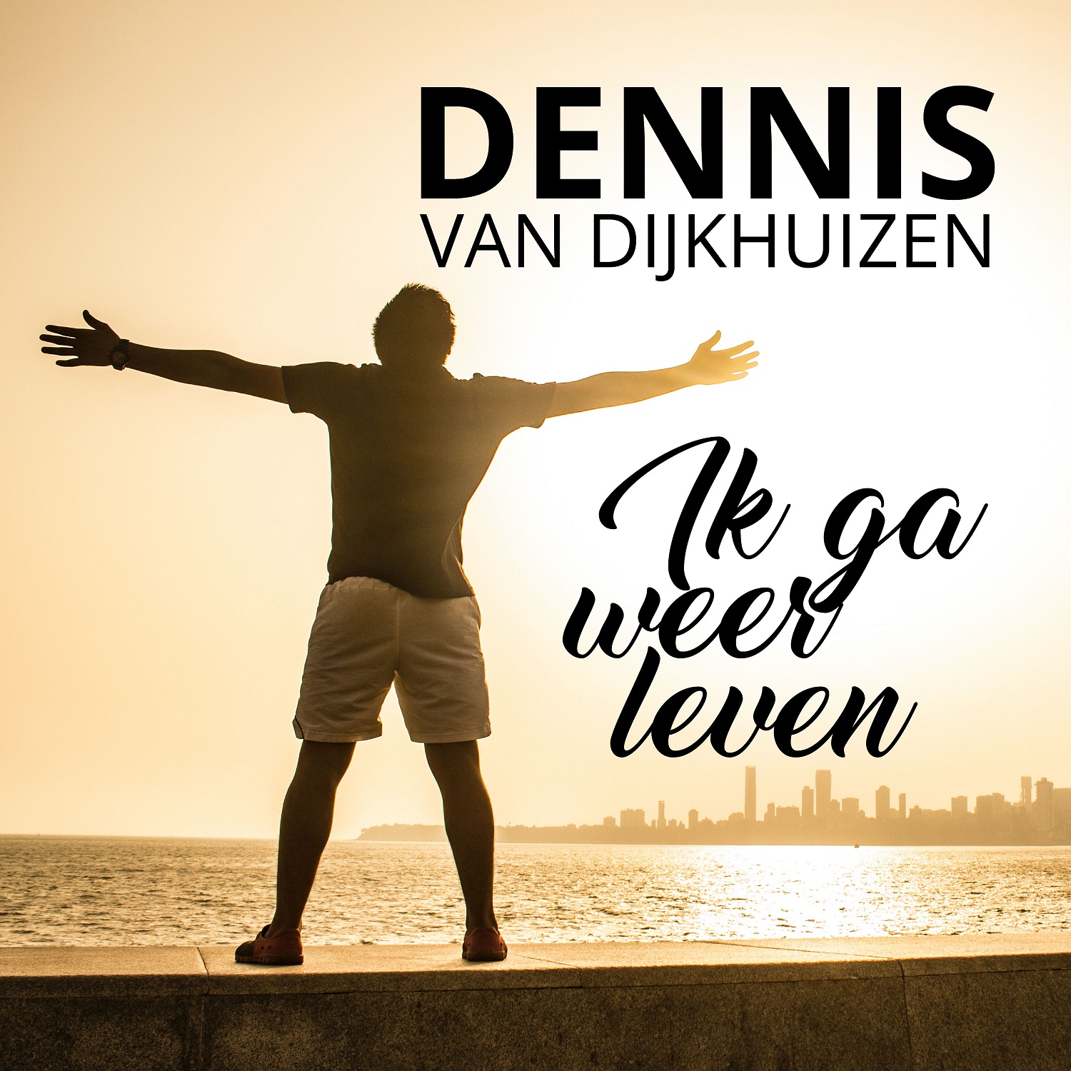 Sfeer Dennis van Dijkhuizen 2